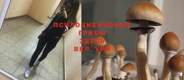 шишки Иноземцево