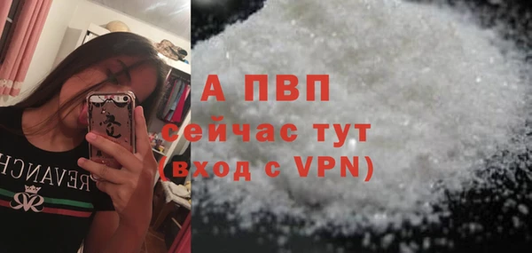 прущие грибы Кущёвская