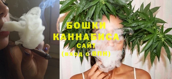 винт Нестеровская