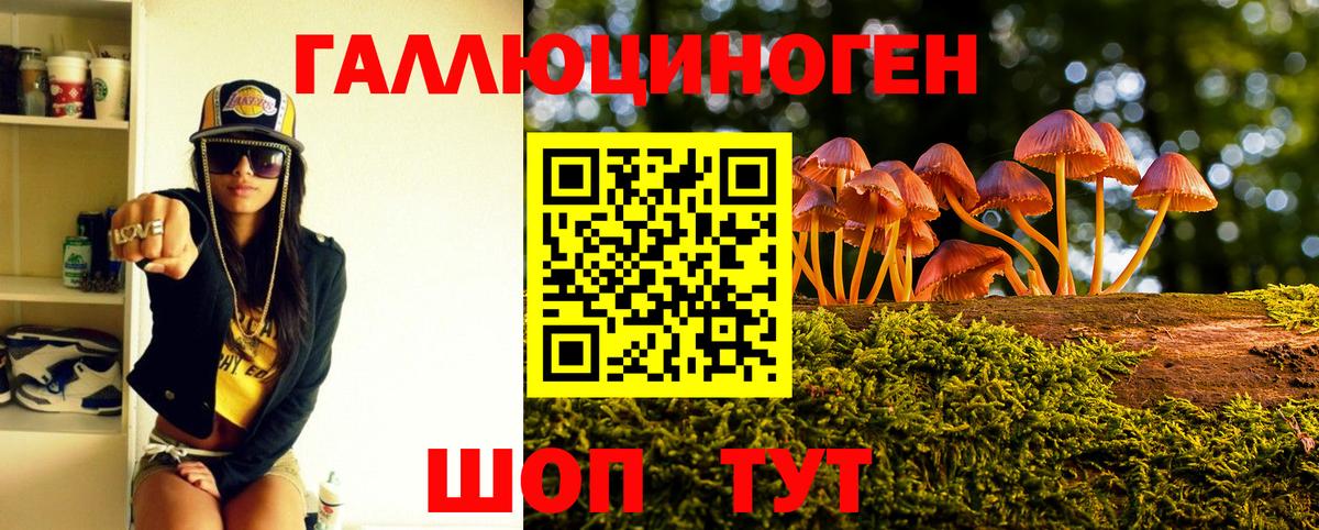 купить наркотики цена  Амурск  Псилоцибиновые грибы прущие грибы  Псилоцибиновые грибы ЛСД 