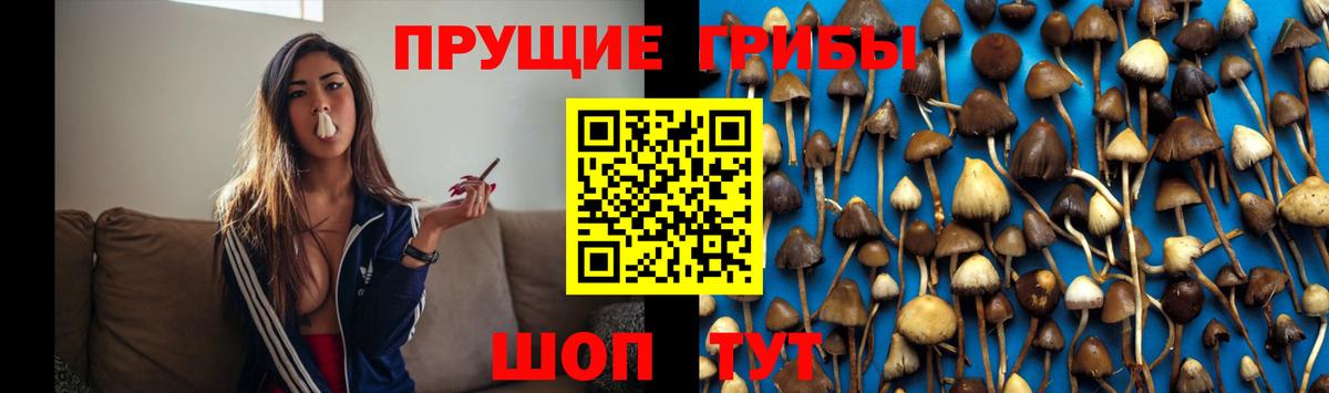 Псилоцибиновые грибы прущие грибы Амурск